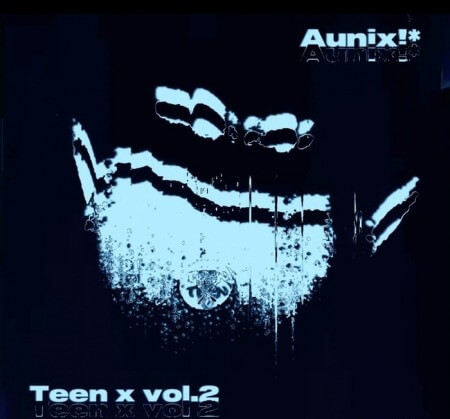 Aunix Teen X Vol.2 Stah Kit WAV MiDi Synth Presets